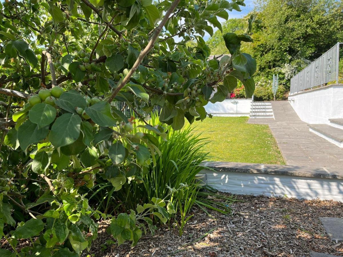 Berllan Deg Holiday home
